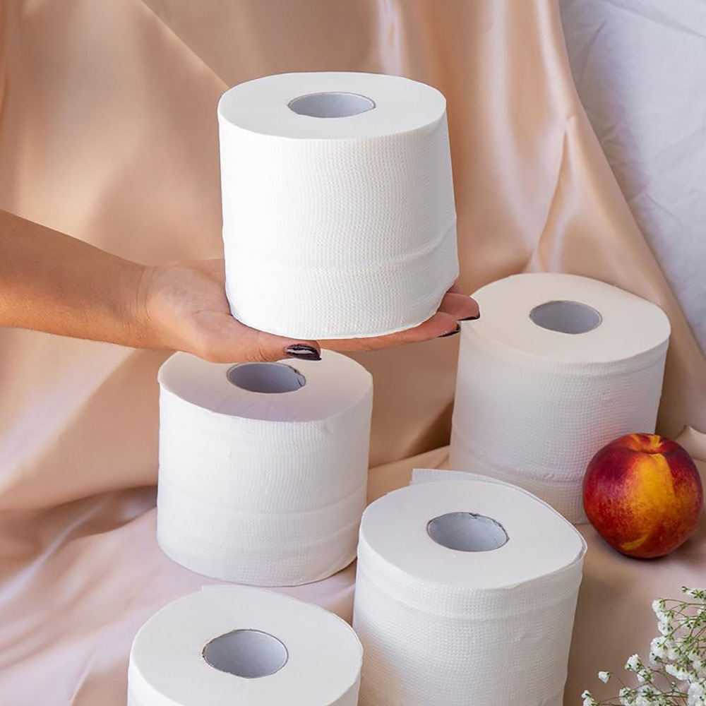 What did people use to wipe their butts before toilet paper was invented?