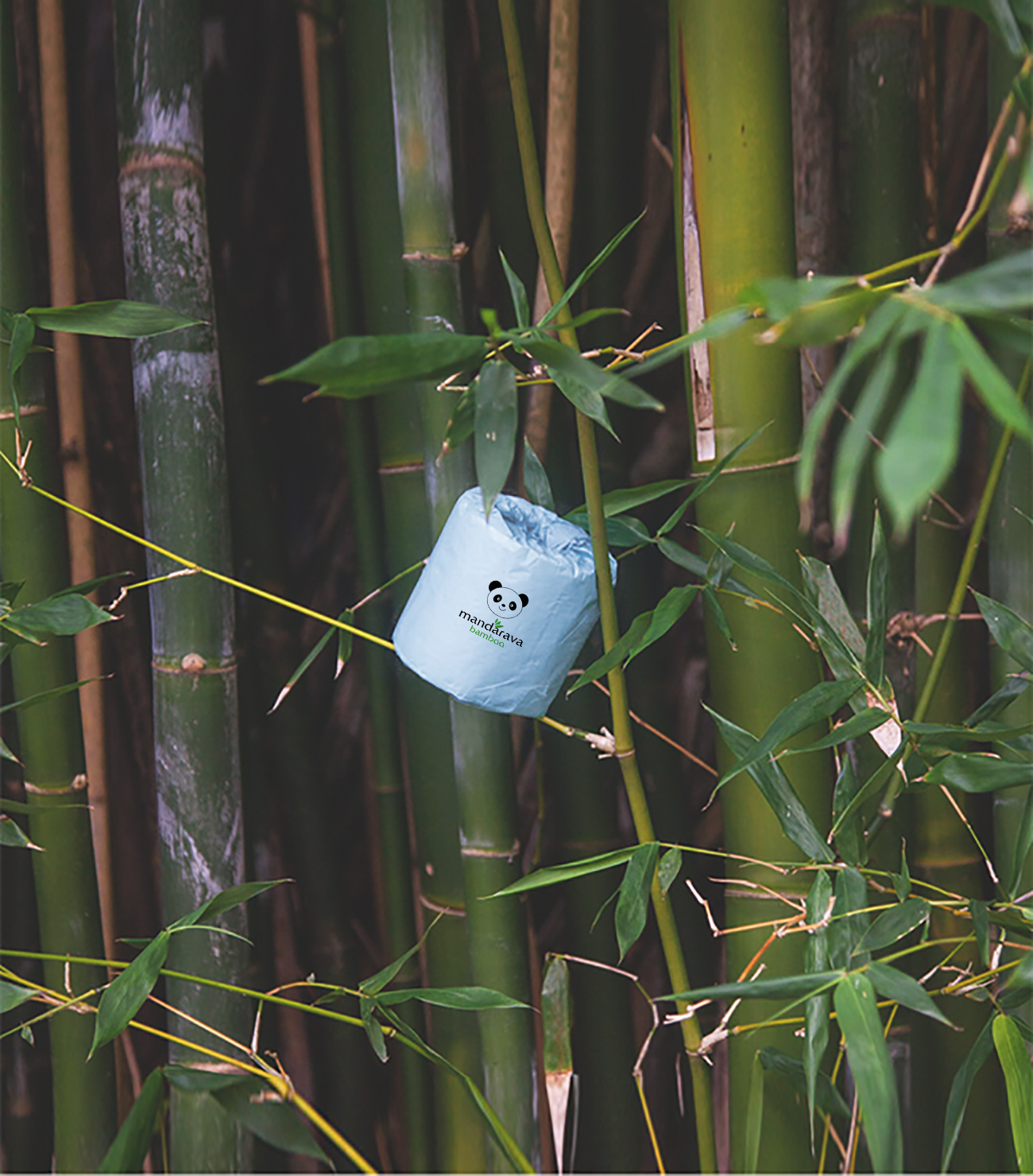 Why Use Bamboo Pulp tissue paper