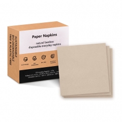 Disposable Paper Napkins & Serviettes for Restaurant, Catering & Events | 2 Ply