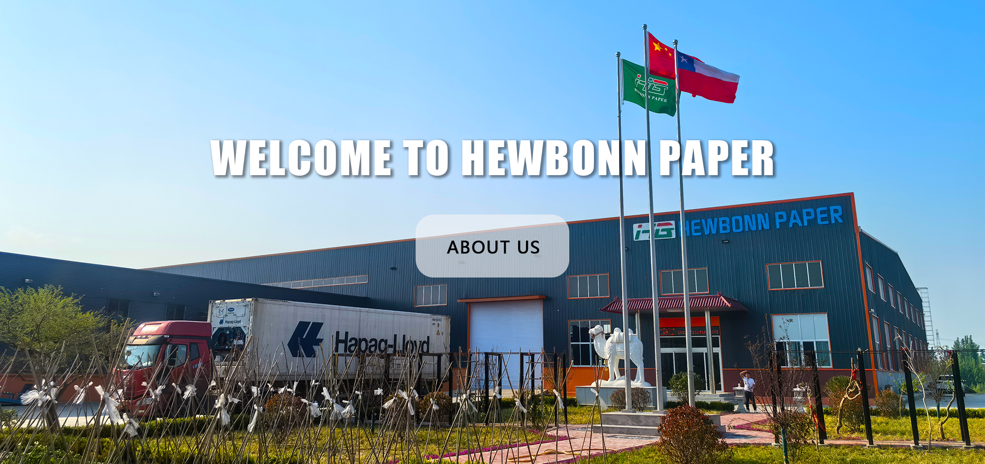 Discover Hewbonn Paper