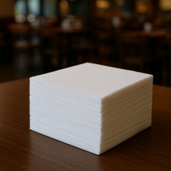 Disposable Paper Napkins & Serviettes for Restaurant, Catering & Events | 2 Ply